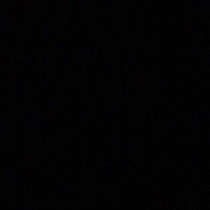 Meet your Posher, Julian